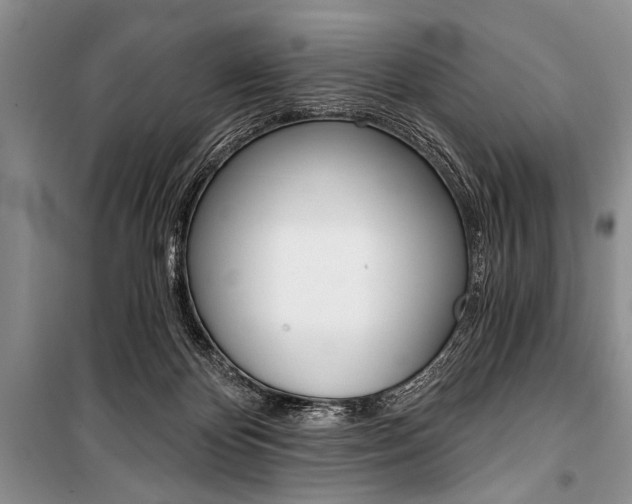 X0000101110124200806261118