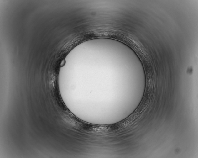 X0000101110125200806261118