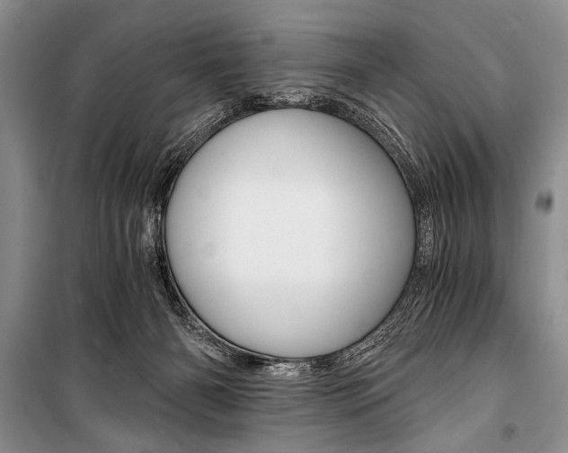 X0000101110126200806261118