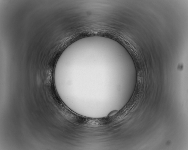 X0000101110127200806261118