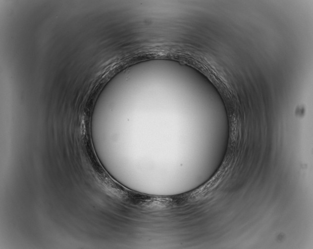 X0000101110128200806261118