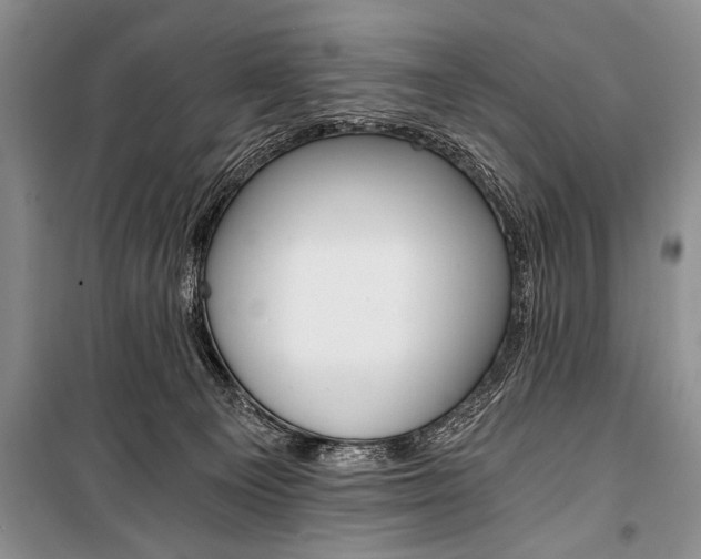 X0000101110129200806261118