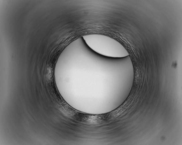 X0000101110130200806261118