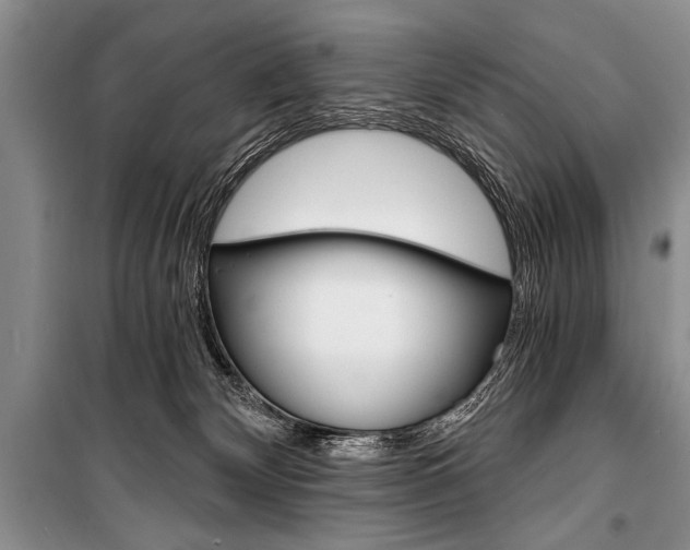 X0000101110132200806261118