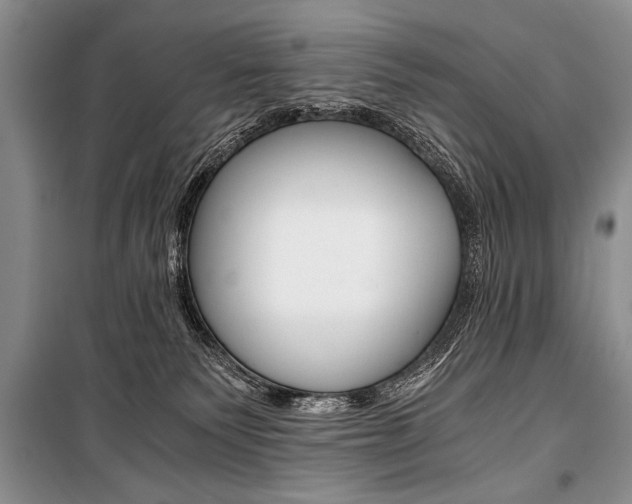 X0000101110135200806261118