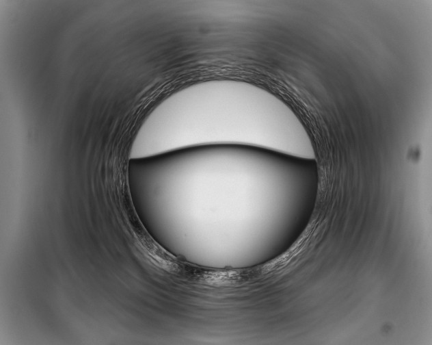 X0000101110136200806261118