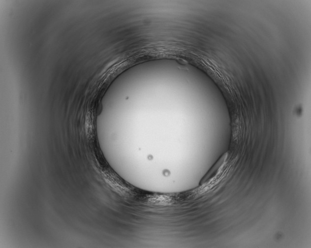 X0000101110140200806261118