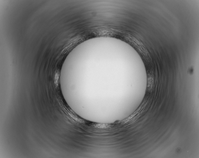 X0000101110142200806261118