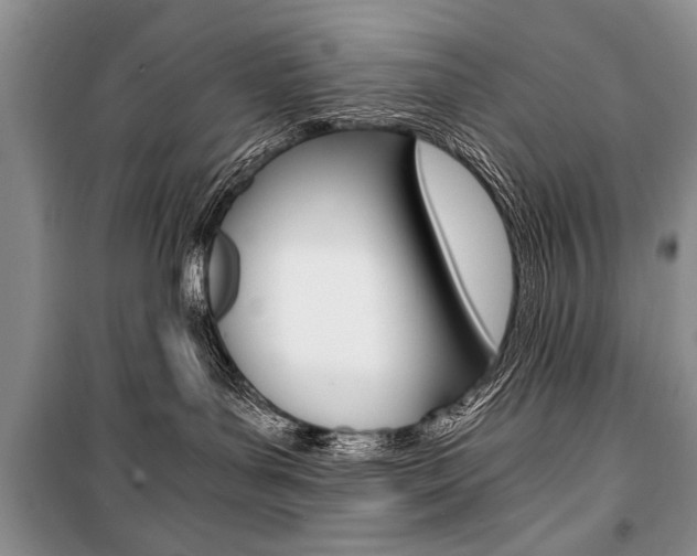 X0000101110143200806261118