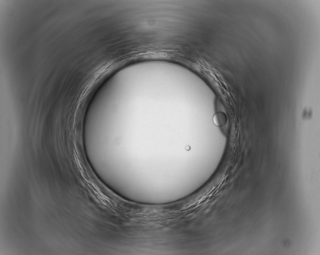 X0000101110145200806261117