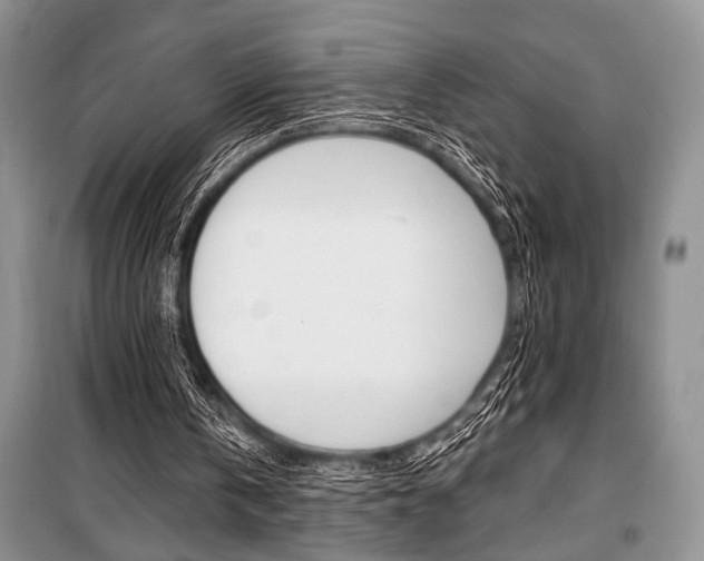 X0000101110146200806261117