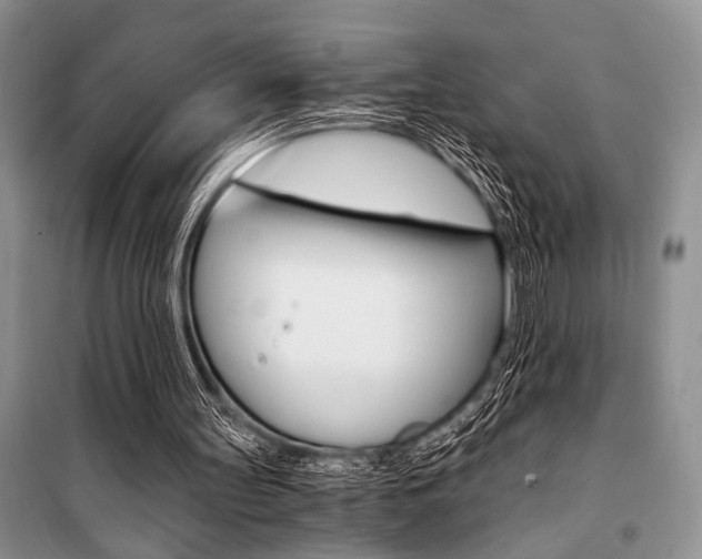 X0000101110147200806261117