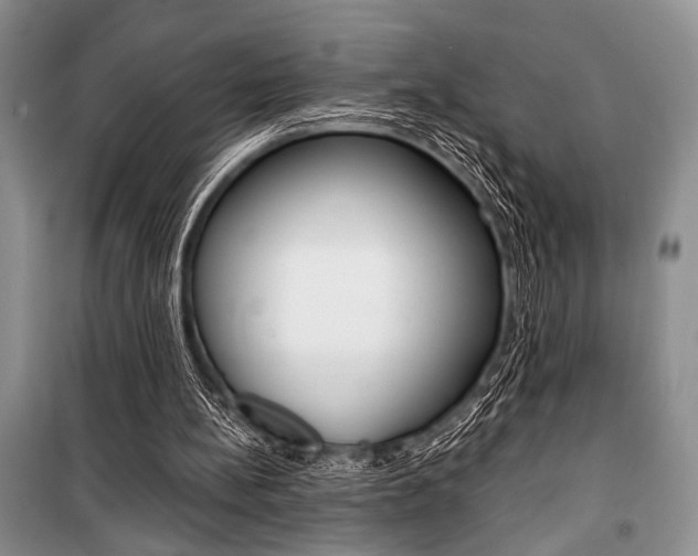 X0000101110148200806261117