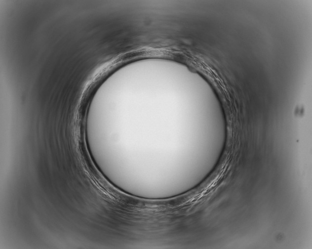 X0000101110149200806261117
