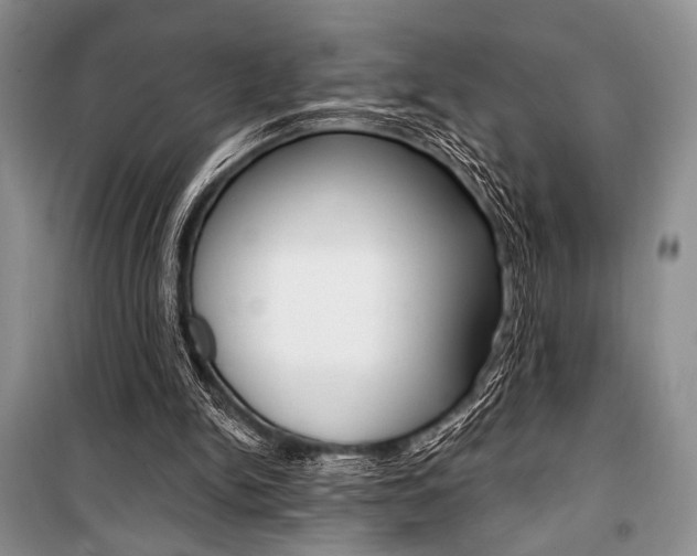 X0000101110150200806261117