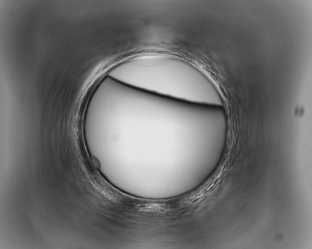 X0000101110151200806261117