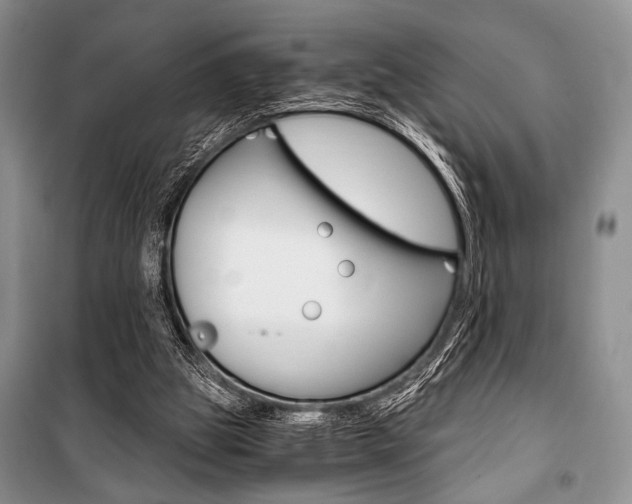 X0000101110153200806261117