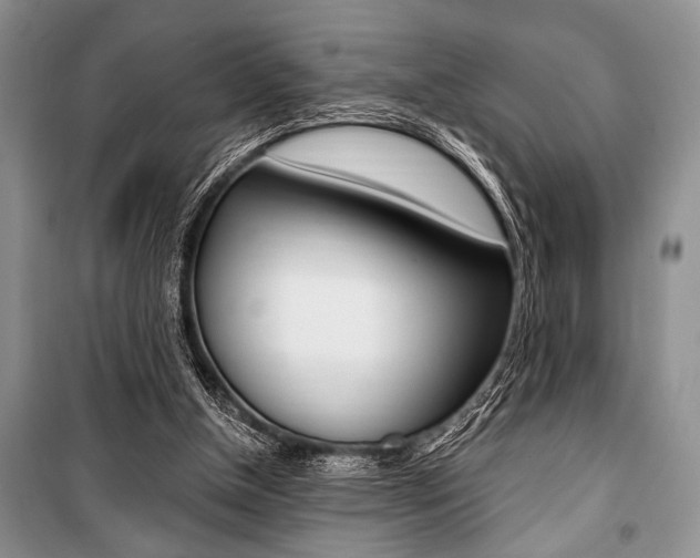 X0000101110154200806261117