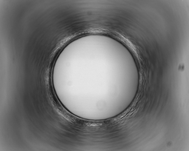 X0000101110155200806261117