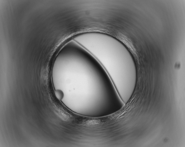 X0000101110156200806261117