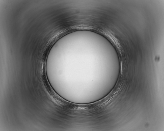 X0000101110157200806261117