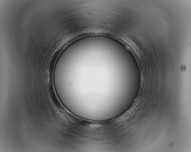 X0000101110158200806261117