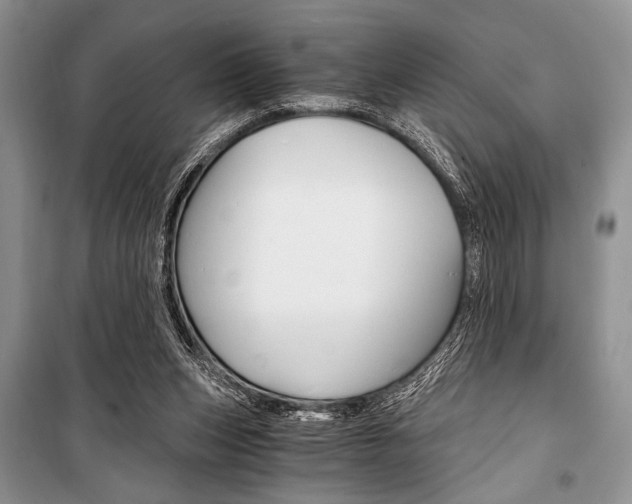 X0000101110159200806261117