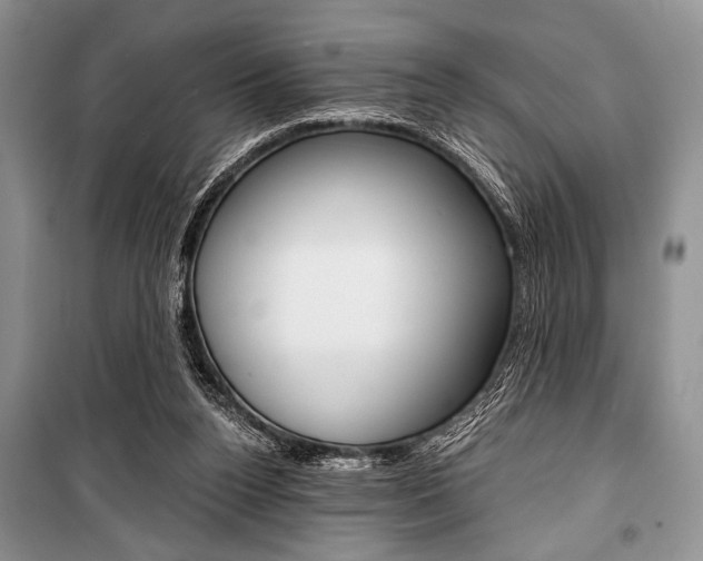 X0000101110160200806261117
