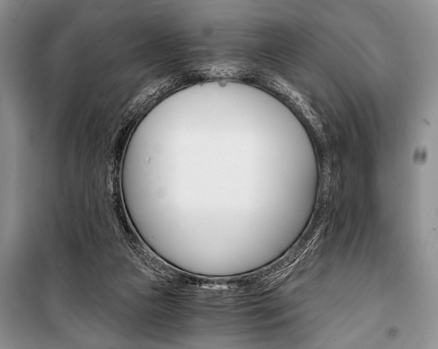 X0000101110161200806261117