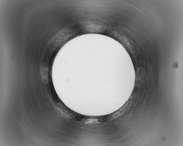 X0000101110162200806261117