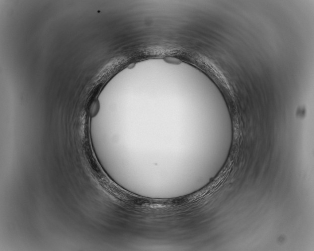 X0000101110163200806261117