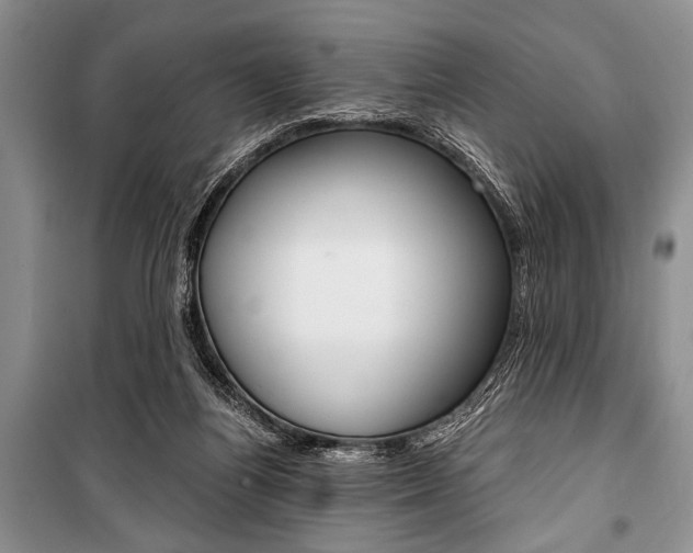 X0000101110164200806261117
