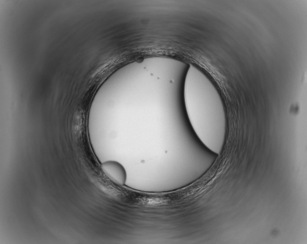 X0000101110165200806261117