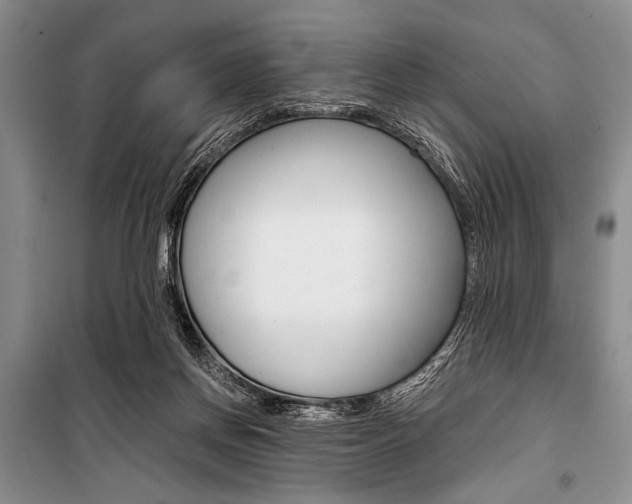 X0000101110166200806261117