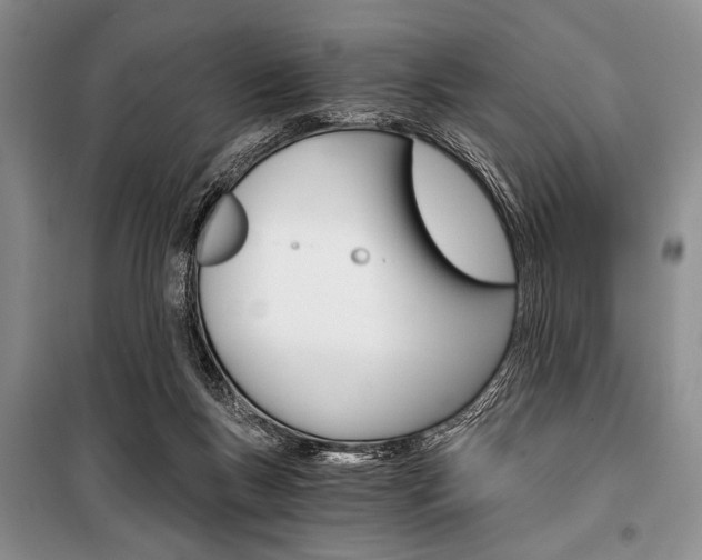 X0000101110167200806261117