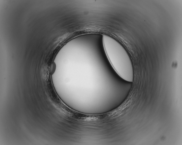 X0000101110168200806261117