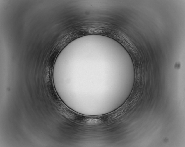 X0000101110169200806261117