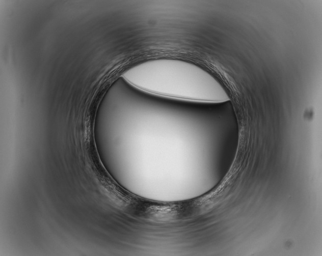 X0000101110170200806261117