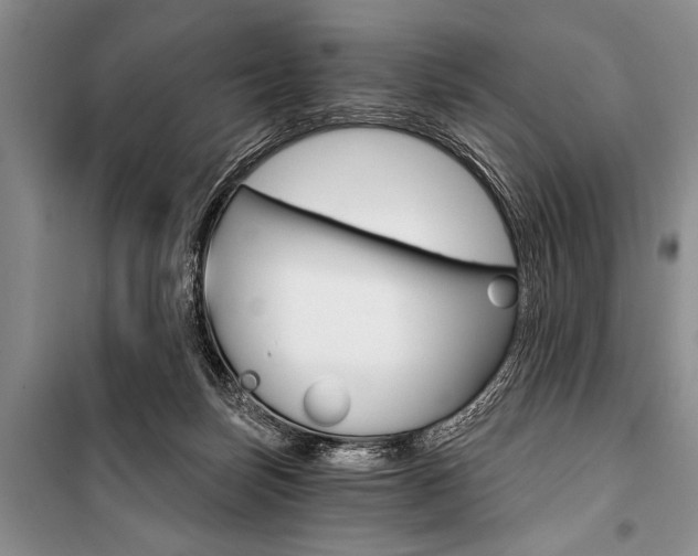 X0000101110171200806261117