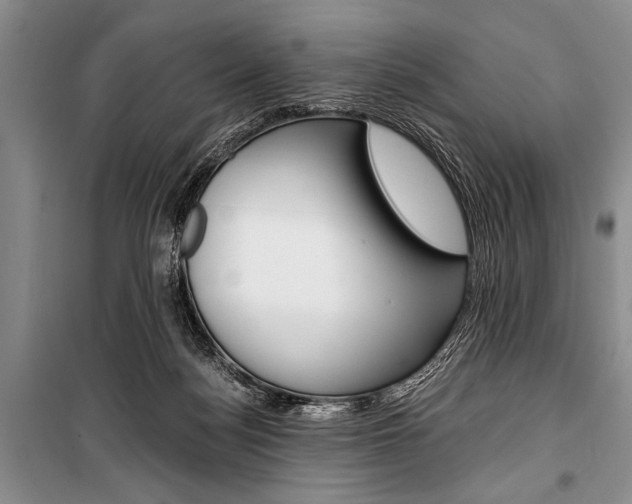X0000101110172200806261117