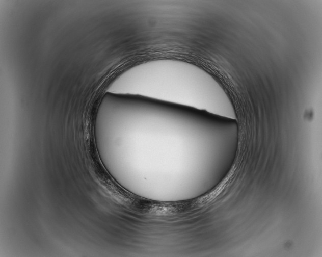 X0000101110174200806261117