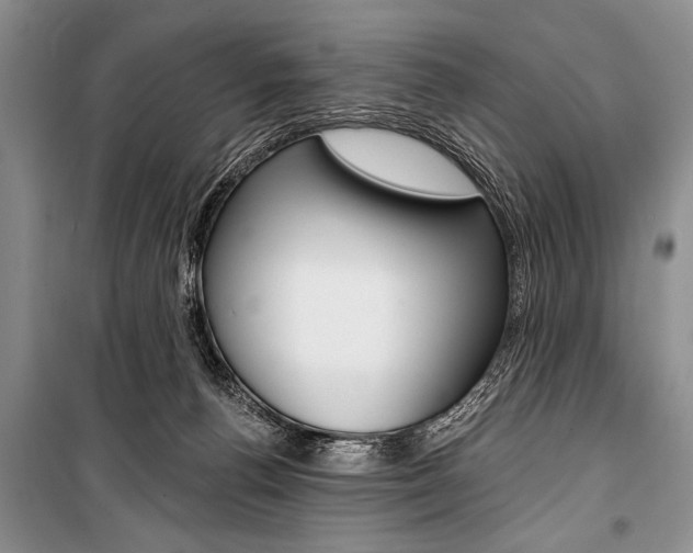X0000101110176200806261118