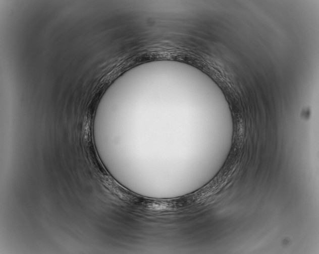 X0000101110177200806261118