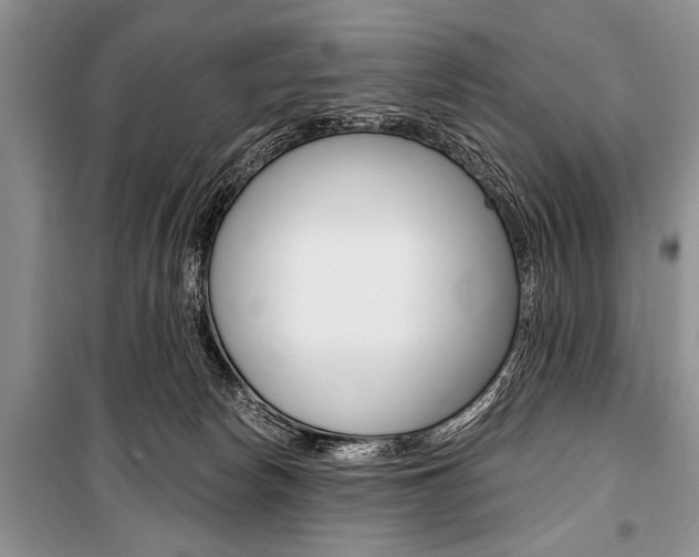 X0000101110178200806261118