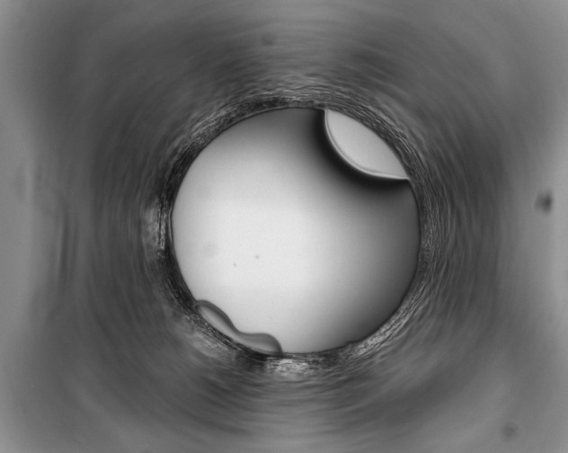 X0000101110180200806261118