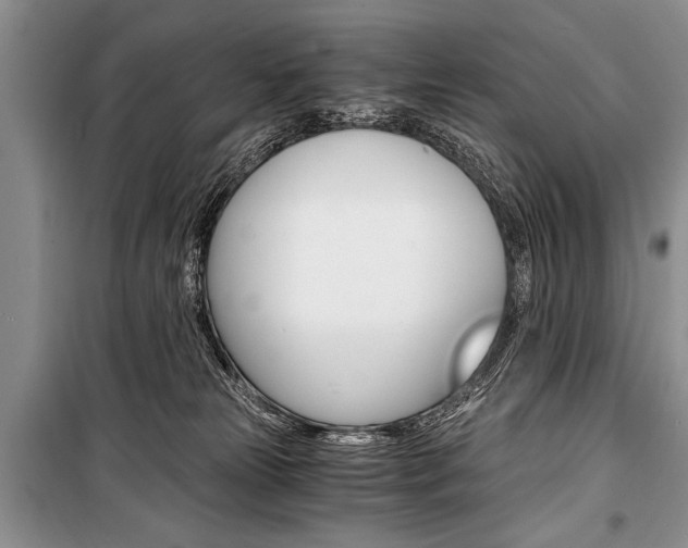 X0000101110181200806261118