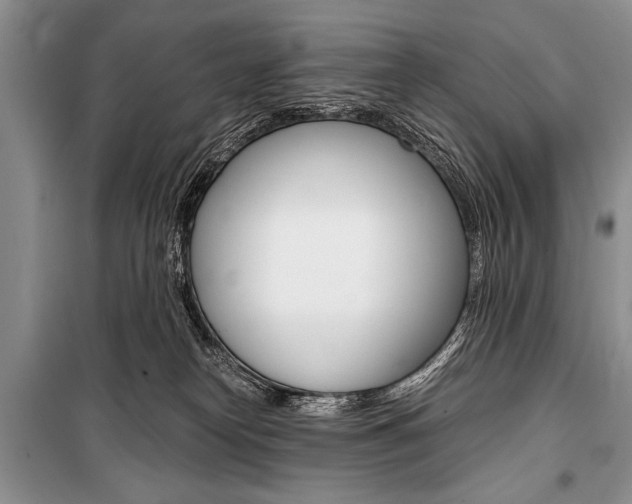 X0000101110182200806261118