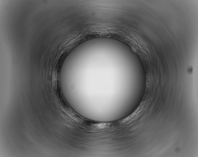 X0000101110184200806261118