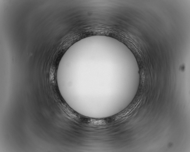 X0000101110185200806261118