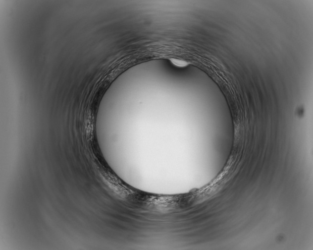 X0000101110186200806261118